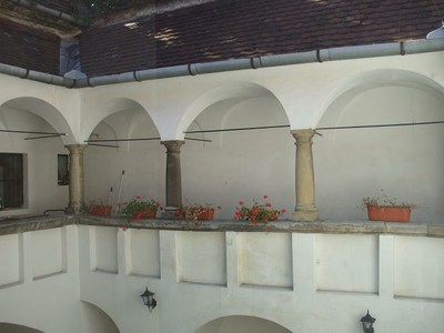 A csodás környezet - small